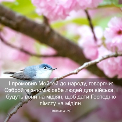 Picture 03 - Числа 31:3 UKR - І промовив Мойсей до - Bible Verse Picture
