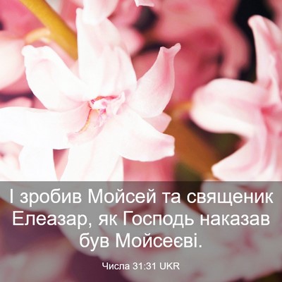 Picture 03 - Числа 31:31 UKR - І зробив Мойсей та - Bible Verse Picture
