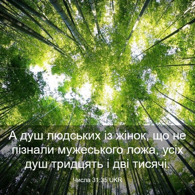 Picture 03 - Числа 31:35 UKR - А душ людських із жінок, що - Bible Verse Picture