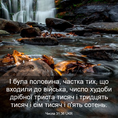Picture 03 - Числа 31:36 UKR - І була половина, частка - Bible Verse Picture