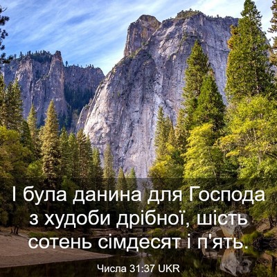 Picture 03 - Числа 31:37 UKR - І була данина для Господа з - Bible Verse Picture