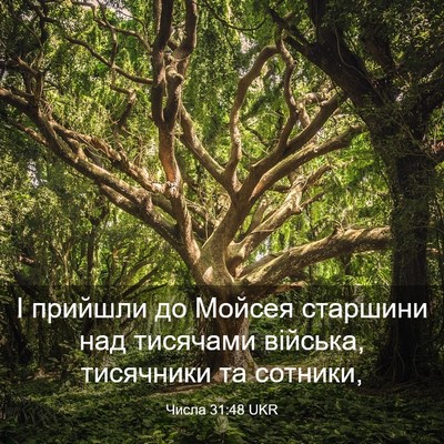 Picture 03 - Числа 31:48 UKR - І прийшли до Мойсея - Bible Verse Picture