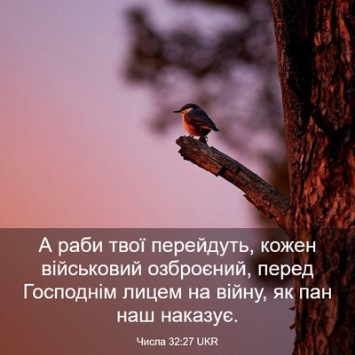 Picture 03 - Числа 32:27 UKR - А раби твої перейдуть, - Bible Verse Picture