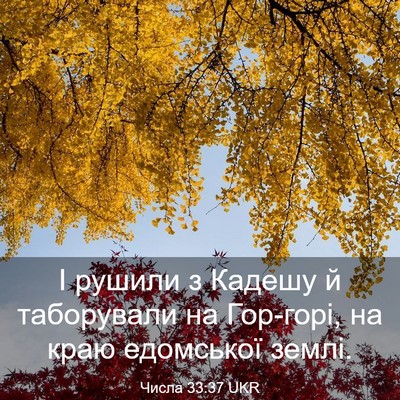 Picture 03 - Числа 33:37 UKR - І рушили з Кадешу й - Bible Verse Picture