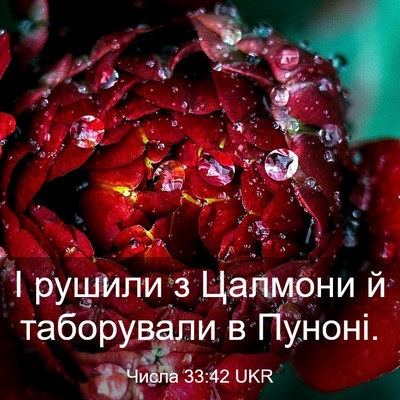 Picture 03 - Числа 33:42 UKR - І рушили з Цалмони й - Bible Verse Picture