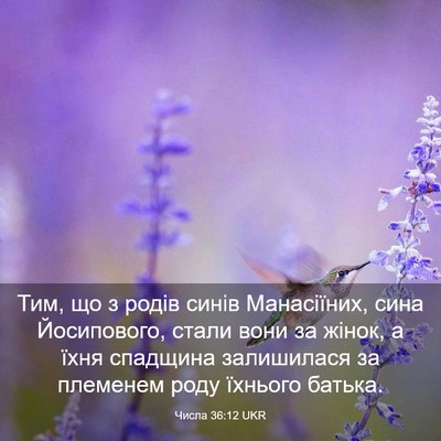 Picture 03 - Числа 36:12 UKR - Тим, що з родів синів - Bible Verse Picture