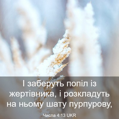 Picture 03 - Числа 4:13 UKR - І заберуть попіл із - Bible Verse Picture