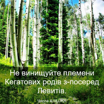 Picture 03 - Числа 4:18 UKR - Не винищуйте племени - Bible Verse Picture