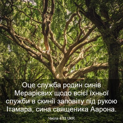Picture 03 - Числа 4:33 UKR - Оце служба родин синів - Bible Verse Picture