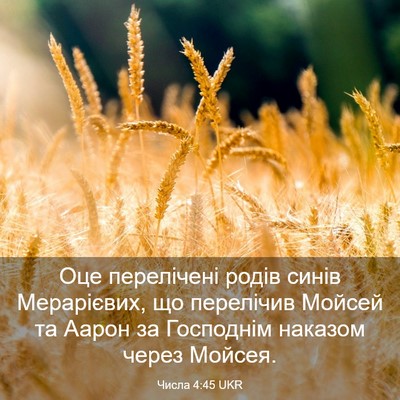 Picture 03 - Числа 4:45 UKR - Оце перелічені родів синів - Bible Verse Picture