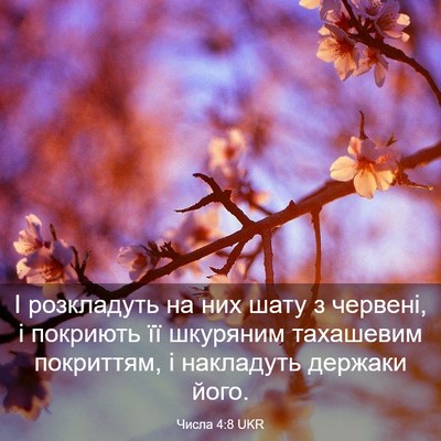 Picture 03 - Числа 4:8 UKR - І розкладуть на них шату з - Bible Verse Picture