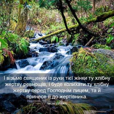 Picture 03 - Числа 5:25 UKR - І візьме священик із руки - Bible Verse Picture