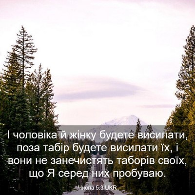 Picture 03 - Числа 5:3 UKR - І чоловіка й жінку будете - Bible Verse Picture