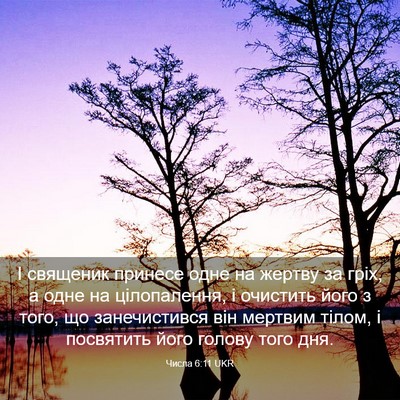 Picture 03 - Числа 6:11 UKR - І священик принесе одне на - Bible Verse Picture