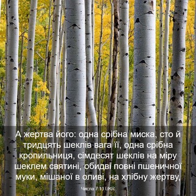 Picture 03 - Числа 7:13 UKR - А жертва його: одна срібна - Bible Verse Picture