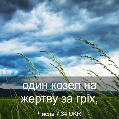 Picture 03 - Числа 7:34 UKR - один козел на жертву за - Bible Verse Picture