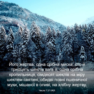 Picture 03 - Числа 7:37 UKR - Його жертва: одна срібна - Bible Verse Picture