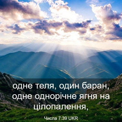 Picture 03 - Числа 7:39 UKR - одне теля, один баран, одне - Bible Verse Picture