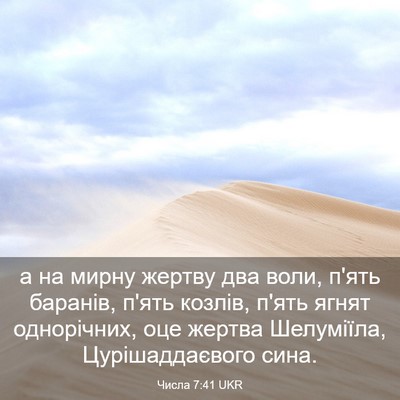 Picture 03 - Числа 7:41 UKR - а на мирну жертву два воли, - Bible Verse Picture