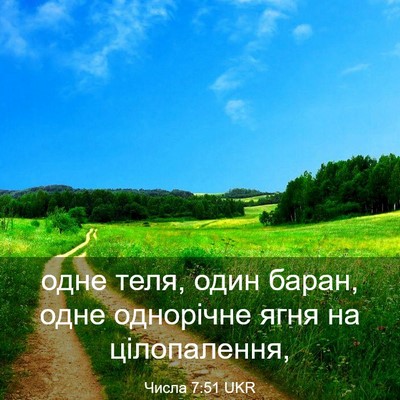 Picture 03 - Числа 7:51 UKR - одне теля, один баран, одне - Bible Verse Picture