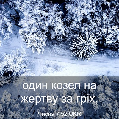 Picture 03 - Числа 7:52 UKR - один козел на жертву за - Bible Verse Picture