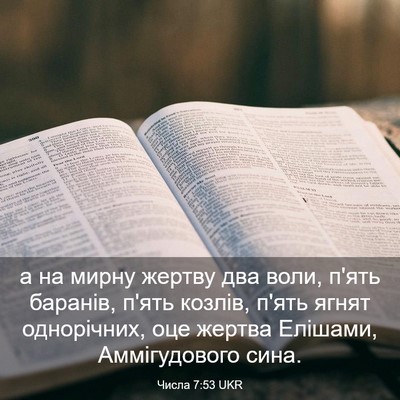 Picture 03 - Числа 7:53 UKR - а на мирну жертву два воли, - Bible Verse Picture