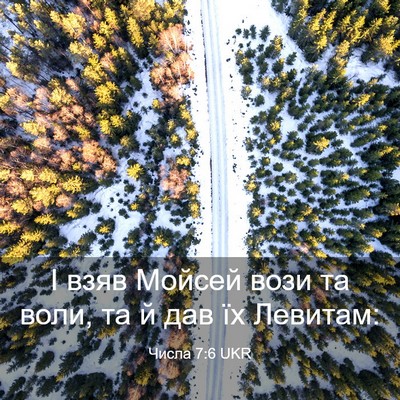 Picture 03 - Числа 7:6 UKR - І взяв Мойсей вози та воли, - Bible Verse Picture