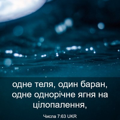 Picture 03 - Числа 7:63 UKR - одне теля, один баран, одне - Bible Verse Picture