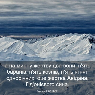 Picture 03 - Числа 7:65 UKR - а на мирну жертву два воли, - Bible Verse Picture