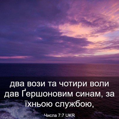 Picture 03 - Числа 7:7 UKR - два вози та чотири воли дав - Bible Verse Picture