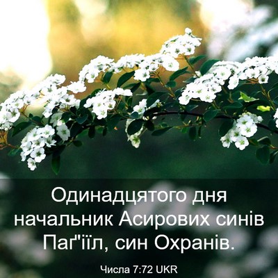 Picture 03 - Числа 7:72 UKR - Одинадцятого дня - Bible Verse Picture