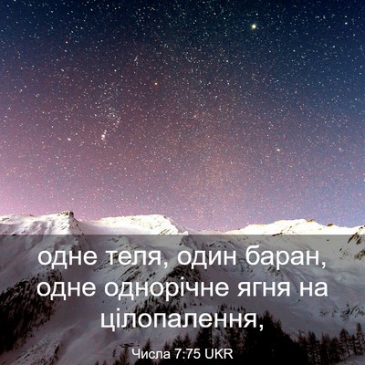 Picture 03 - Числа 7:75 UKR - одне теля, один баран, одне - Bible Verse Picture
