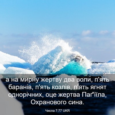 Picture 03 - Числа 7:77 UKR - а на мирну жертву два воли, - Bible Verse Picture