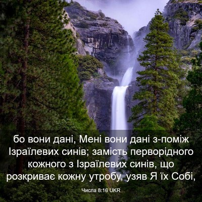Picture 03 - Числа 8:16 UKR - бо вони дані, Мені вони - Bible Verse Picture