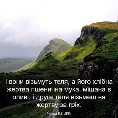 Picture 03 - Числа 8:8 UKR - І вони візьмуть теля, а - Bible Verse Picture