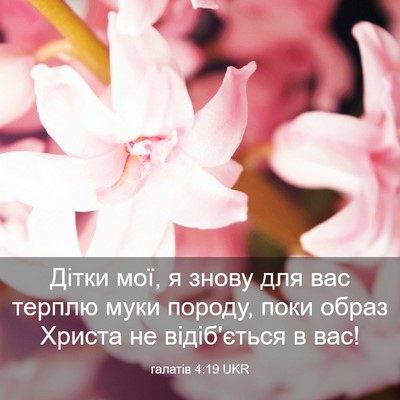 Picture 03 - галатів 4:19 UKR - Дітки мої, я знову для вас - Bible Verse Picture