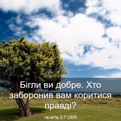 Picture 03 - галатів 5:7 UKR - Бігли ви добре. Хто - Bible Verse Picture