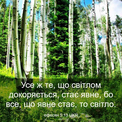 Picture 03 - ефесян 5:13 UKR - Усе ж те, що світлом - Bible Verse Picture