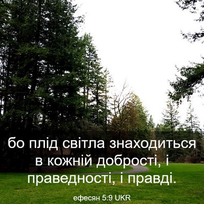 Picture 03 - ефесян 5:9 UKR - бо плід світла знаходиться - Bible Verse Picture