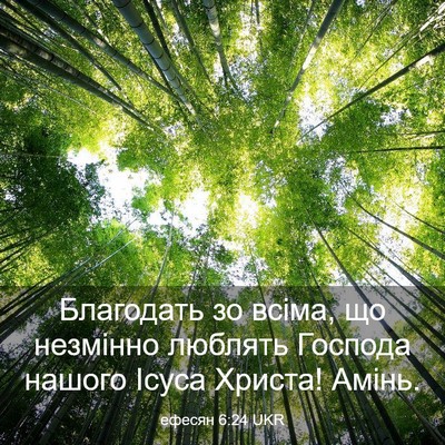 Picture 03 - ефесян 6:24 UKR - Благодать зо всіма, що - Bible Verse Picture