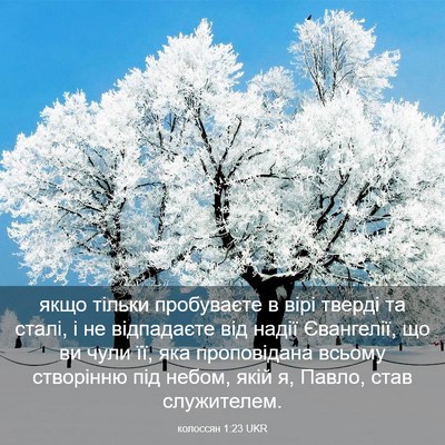 Picture 03 - колоссян 1:23 UKR - якщо тільки пробуваєте в - Bible Verse Picture