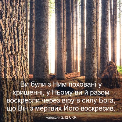 Picture 03 - колоссян 2:12 UKR - Ви були з Ним поховані у - Bible Verse Picture