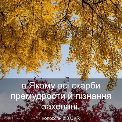 Picture 03 - колоссян 2:3 UKR - в Якому всі скарби - Bible Verse Picture