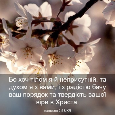 Picture 03 - колоссян 2:5 UKR - Бо хоч тілом я й - Bible Verse Picture