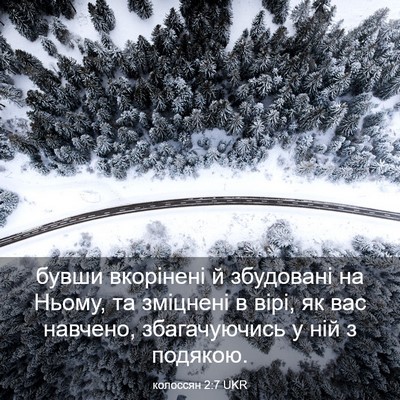Picture 03 - колоссян 2:7 UKR - бувши вкорінені й - Bible Verse Picture