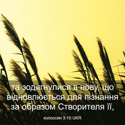 Picture 03 - колоссян 3:10 UKR - та зодягнулися в нову, що - Bible Verse Picture