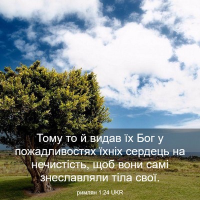 Picture 03 - римлян 1:24 UKR - Тому то й видав їх Бог у - Bible Verse Picture