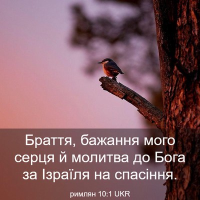Picture 03 - римлян 10:1 UKR - Браття, бажання мого серця - Bible Verse Picture