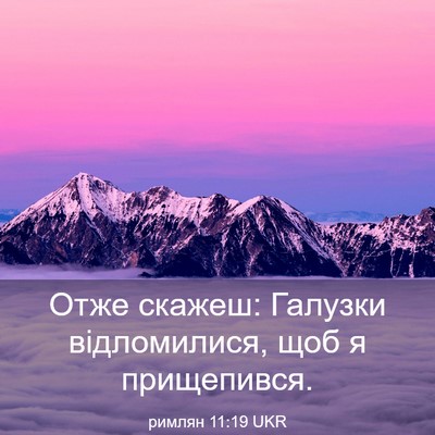 Picture 03 - римлян 11:19 UKR - Отже скажеш: Галузки - Bible Verse Picture