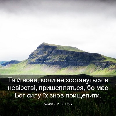 Picture 03 - римлян 11:23 UKR - Та й вони, коли не - Bible Verse Picture